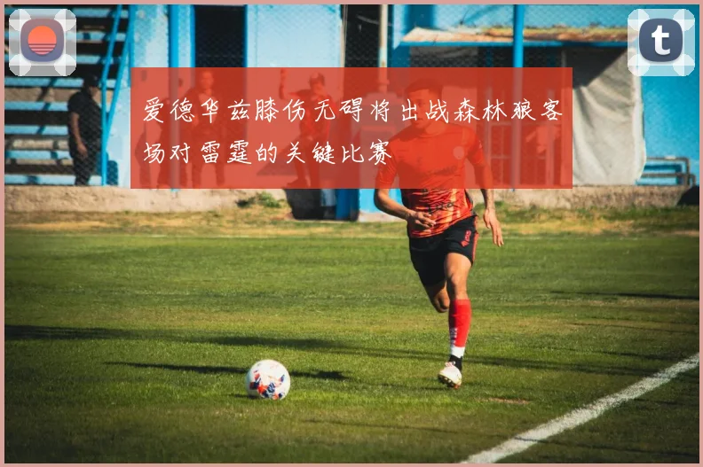 爱德华兹膝伤无碍将出战森林狼客场对雷霆的关键比赛